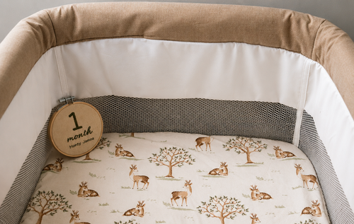 Personalised Milestone Hoop: 1-12 months